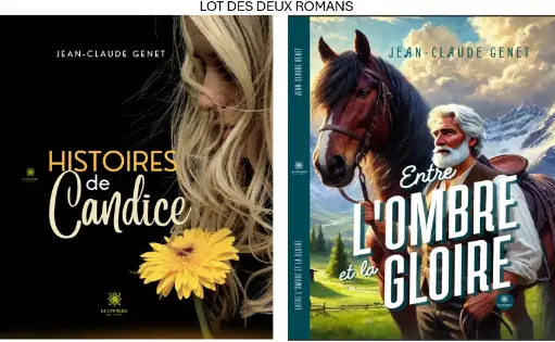 Lot Histoires de Candice et Entre l'ombre et la gloire